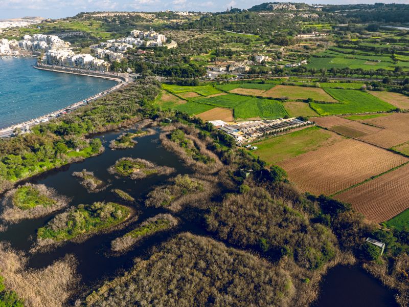 Beautiful photo of the Simar Nature Reserve just a few minutes away from Xemxija Bay Hotel